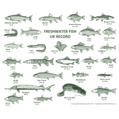 Fishing Records Placemat